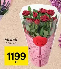 Tesco Rózsamix ajánlat
