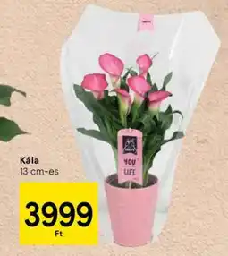 Tesco Kála ajánlat