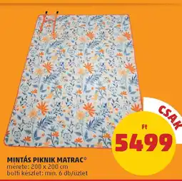 PENNY Mintás piknik matrac ajánlat