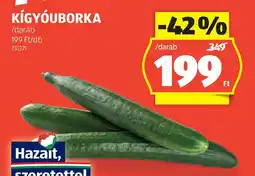 ALDI Kígyóuborka ajánlat