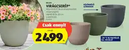 ALDI Belavi virágcserép ajánlat