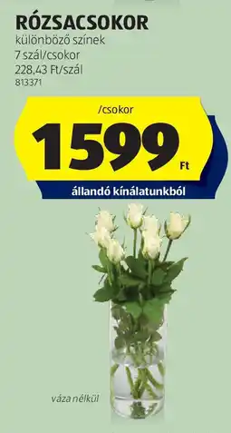 ALDI Rózsacsokor ajánlat