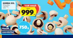 ALDI Gomba XXL ajánlat