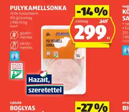 ALDI Pulykamellsonka ajánlat