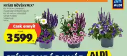 ALDI Nyári Növénymix ajánlat