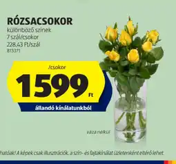ALDI Rzsacsokor ajánlat
