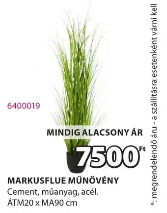 JYSK Markusflue műnövény ajánlat