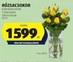 ALDI Rózsacsokor ajánlat