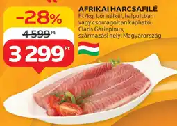 Auchan Afrikai harcsafilé ajánlat