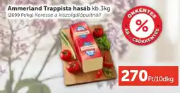 PRIVÁT Ammerland Trappista hasáb ajánlat