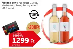 PRIVÁT Maczkó bor ajánlat