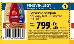 Pingvin Patika Schauma sampon ajánlat