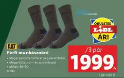 Lidl Férfi munkazokni ajánlat