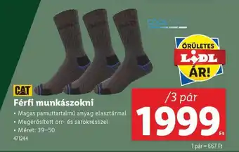 Lidl Férfi munkazokni ajánlat