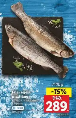 Lidl Friss egész pisztráng ajánlat