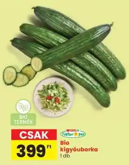 Spar Bio kígyóuborka ajánlat