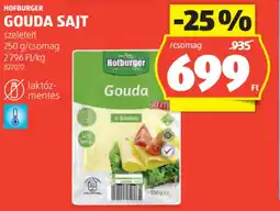 ALDI Hofburger Gouda sajt ajánlat