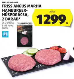 ALDI Terra Pannonia Friss Angus Marha hamburger-húspogácsa ajánlat