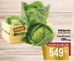 Coop Kelkáposzta ajánlat