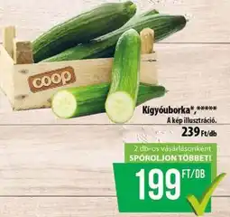 Coop Kígyóuborka ajánlat