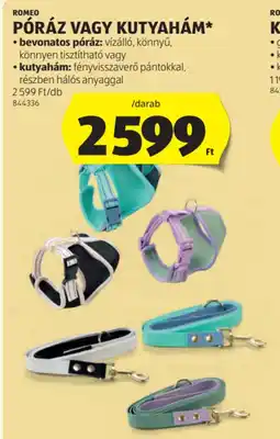 ALDI Romeo Póráz vagy kutyahám ajánlat