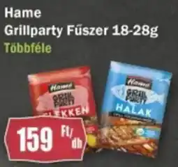 Hame Grillparty Fűszer