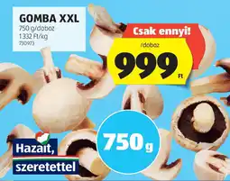 ALDI Gomba XXL ajánlat