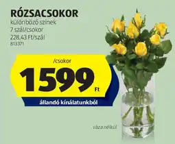 ALDI Rózsacsokor ajánlat