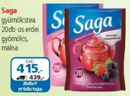 Saga gyümölcstea