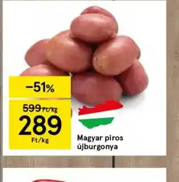 Tesco Magyar piros újburgonya ajánlat
