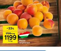Tesco Magyar sárgabarack ajánlat