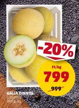 PENNY Gália dinnye ajánlat