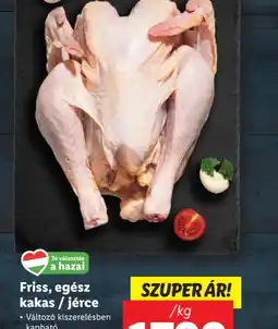 Lidl Friss, egész kakas/jérce ajánlat