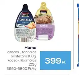 GRoby Hamé lazacos-, tonhalas pástétom ajánlat
