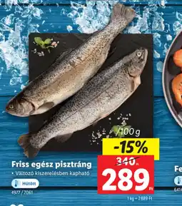 Lidl Friss egész pisztráng ajánlat