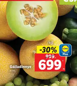 Lidl Gáliadinnye ajánlat