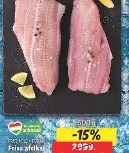 Lidl Fresh Fish Today Friss afrikai harcsafilé ajánlat