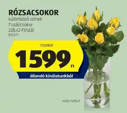 ALDI RÓZSACSOKOR ajánlat