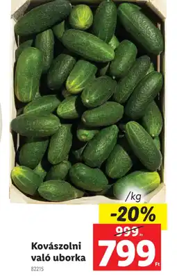 Lidl Kovászolni való uborka ajánlat