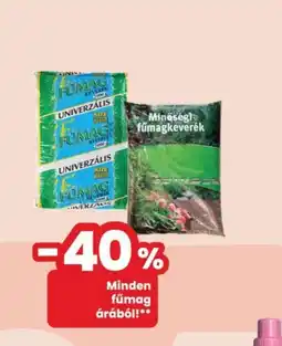 Interspar Fűmag keverék ajánlat
