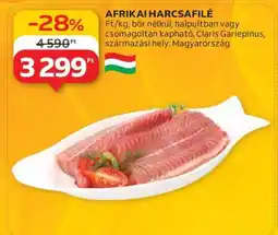 Auchan Afrikai Harcsafilé ajánlat