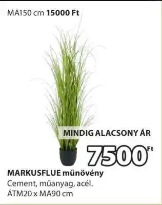 JYSK MARKUSFLUE MŰNÖVÉNY ajánlat