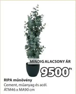 JYSK RIPA műnövény ajánlat