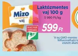 Real Mizo Laktzmentes vaj ajánlat