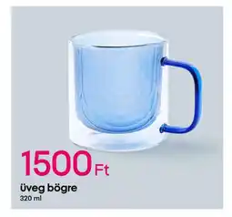 Pepco Üveg bögre ajánlat