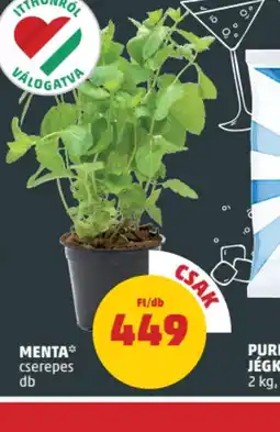 PENNY Menta ajánlat
