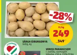PENNY Sárga Újburgonya ajánlat