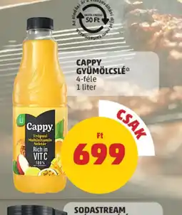 PENNY Cappy Gyümölcslé ajánlat