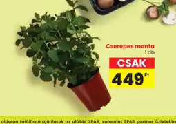 Spar Cserepes menta ajánlat