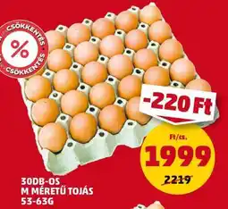 PENNY 30DB-OS M MÉRETŰ TOJÁS 53-63G ajánlat